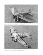 full size printed peanut scale plan arrow sport iightplane makes a good-flying peanut.