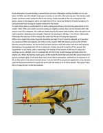 full size printed plans scale 1:10  control line cliye hall's bucker jungmeister