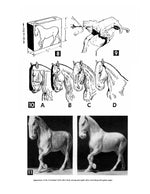 full size printed plan carving a  circus bareback rider and his trained horse