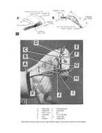 full size printed plan carving a  circus bareback rider and his trained horse