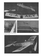 full size printed plans vintage 1981 peanut scale "gadfly"  best in the golden age