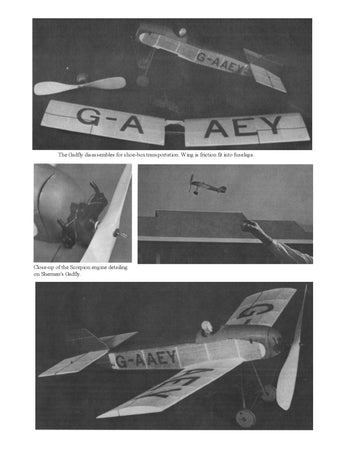 full size printed plans vintage 1981 peanut scale "gadfly"  best in the golden age