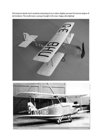 full size printed plans peanut scale "gloucestershire gannet" construction is quite straightforward