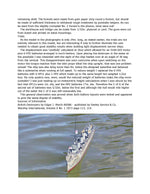 full size printed plans scale 1:87 torpedo boat destroyer 1905  for radio control
