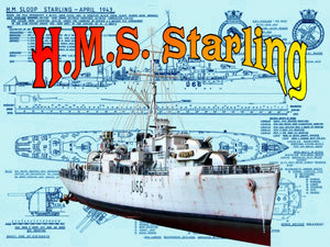 listing is for very detailed scale drawings  h.m.s. starling black swan-class sloop
