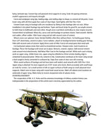 full size printed plans scale 1“= 1 foot control line he-51 wingspan 36”  engines .29 to .49