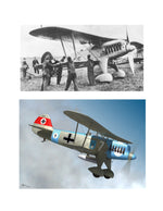 full size printed plans scale 1“= 1 foot control line he-51 wingspan 36”  engines .29 to .49