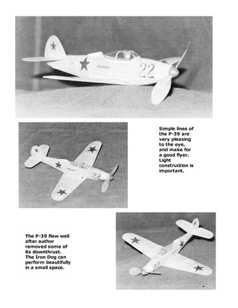 full size printed plans peanut scale "ivan's iron dog" be built very light for outstanding performance.