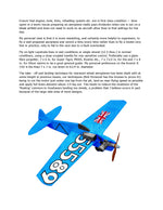 full size printed plan vintage 1973 scale 1:8 profile goodyear racer "argander special"