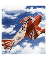 full size printed plans scale 1:8 control line sport or stunt pitts special