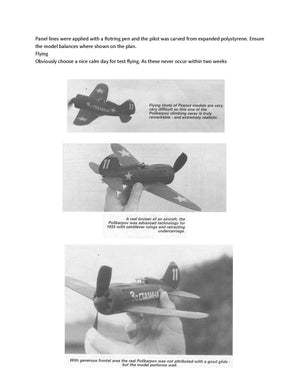 full size printed plans peanut scale "polikarpov 1-16" extremely realistic mine has a great performance,