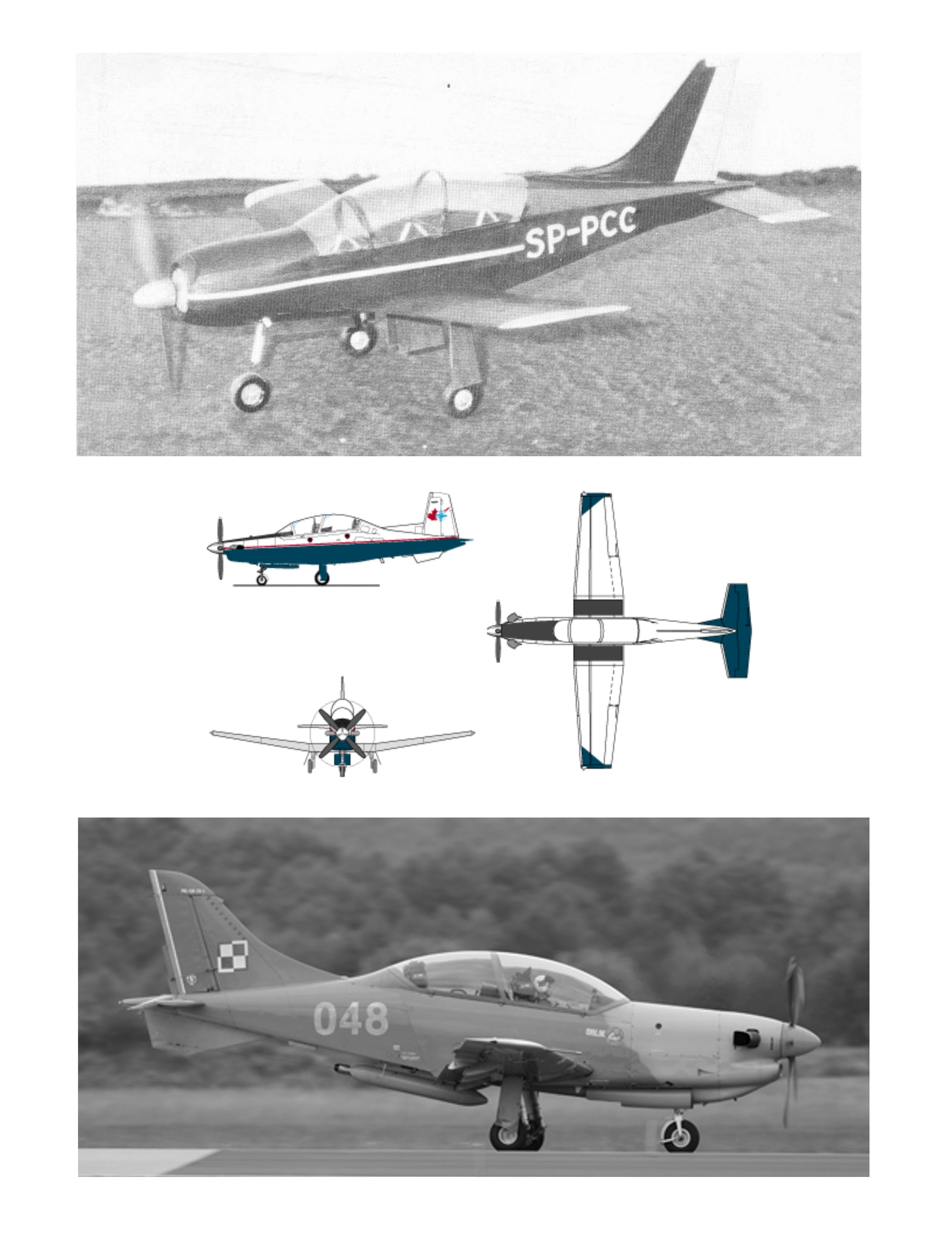 full size printed plans peanut scale "pzl orlik" design is well-suited to a peanut version.