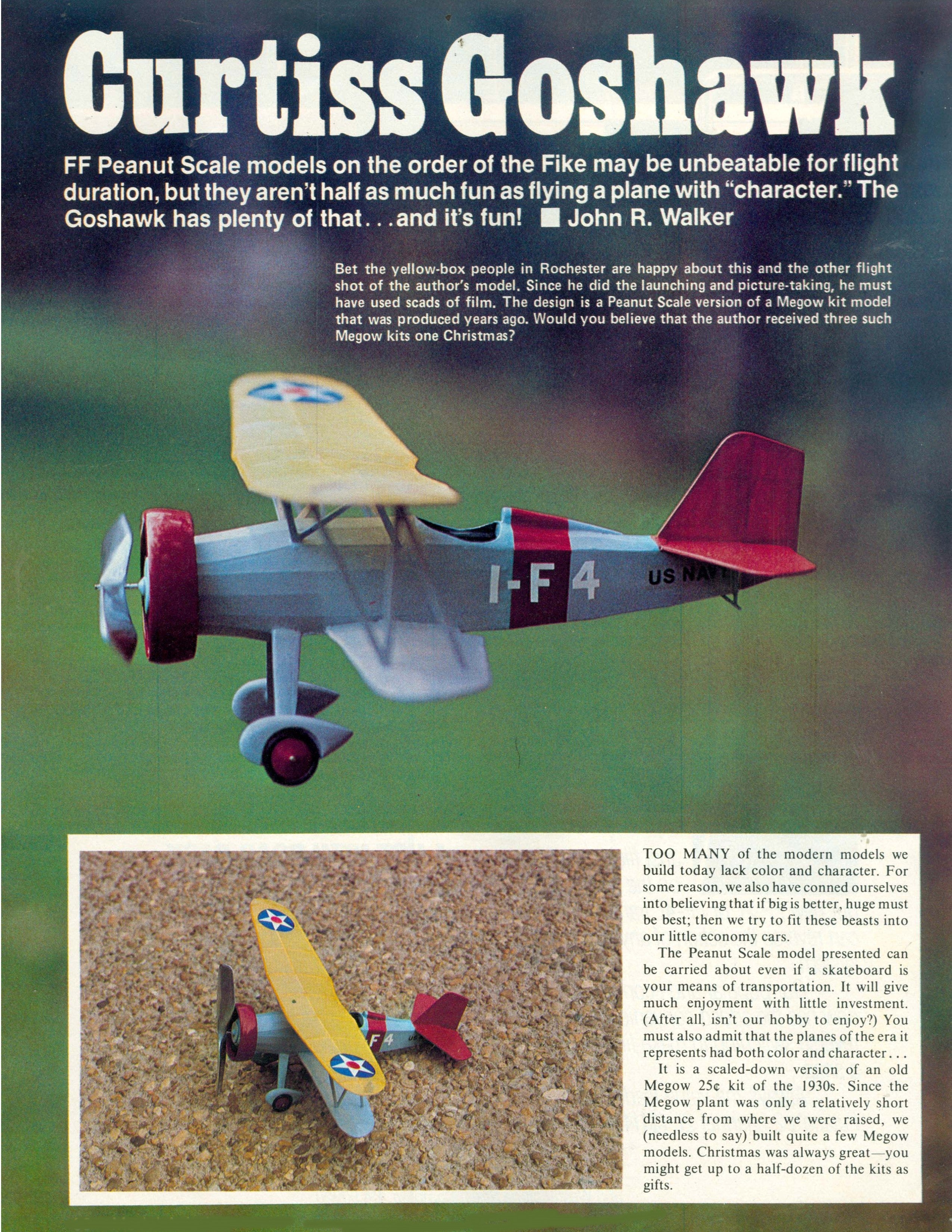 full size printed plans peanut scale curtiss goshawk  a plane with "character."