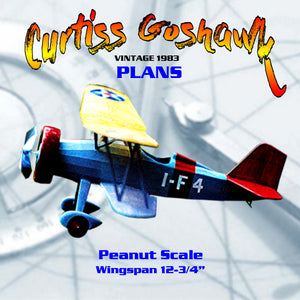 full size printed plans peanut scale curtiss goshawk  a plane with "character."