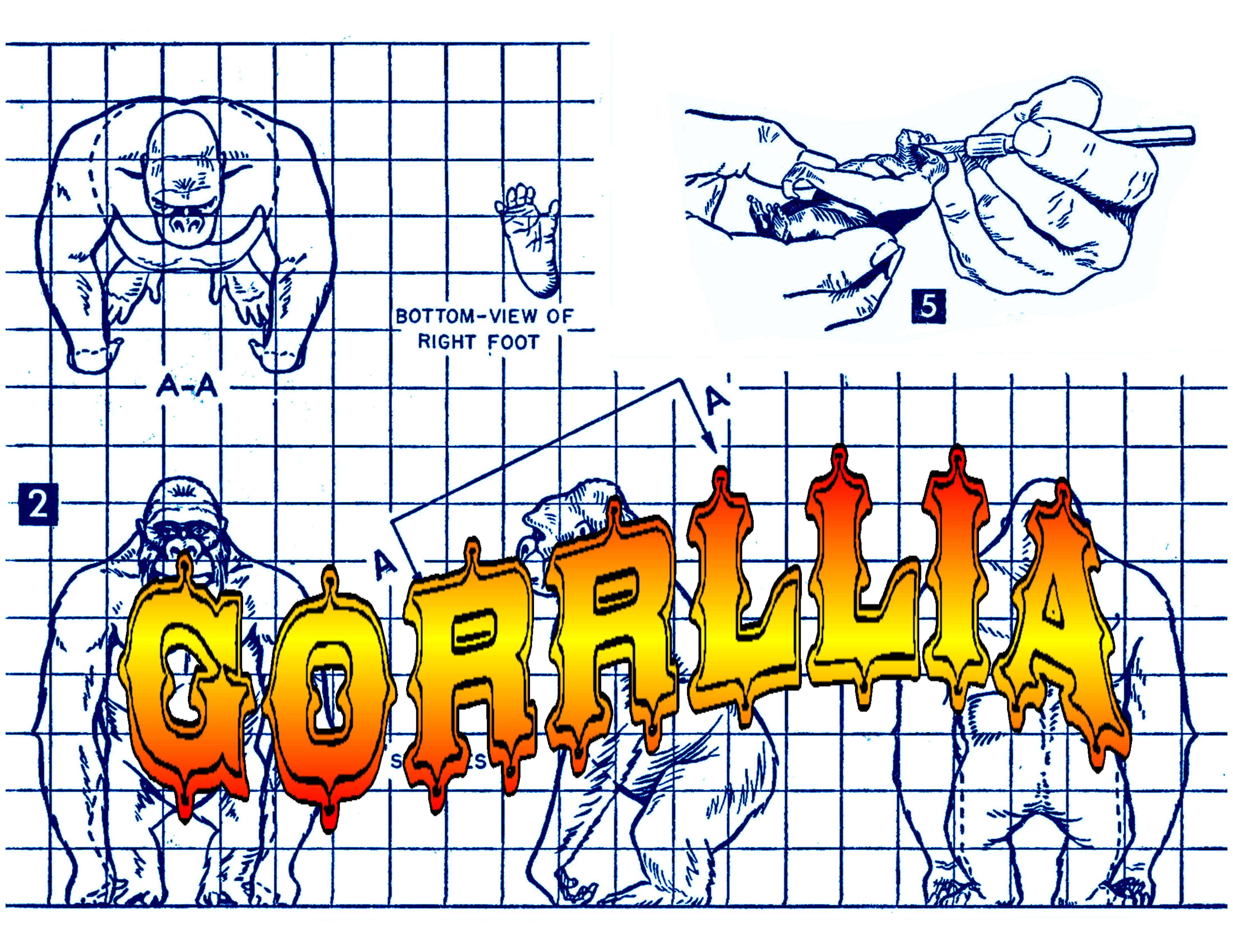 full size printed plans gorilla for your model circus scale 3/4" = 1'  height 3 3/4"  width 2 1/2