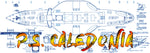 full size printed plan scale 1:48 p.s. caledonia static model or convert radio control & power