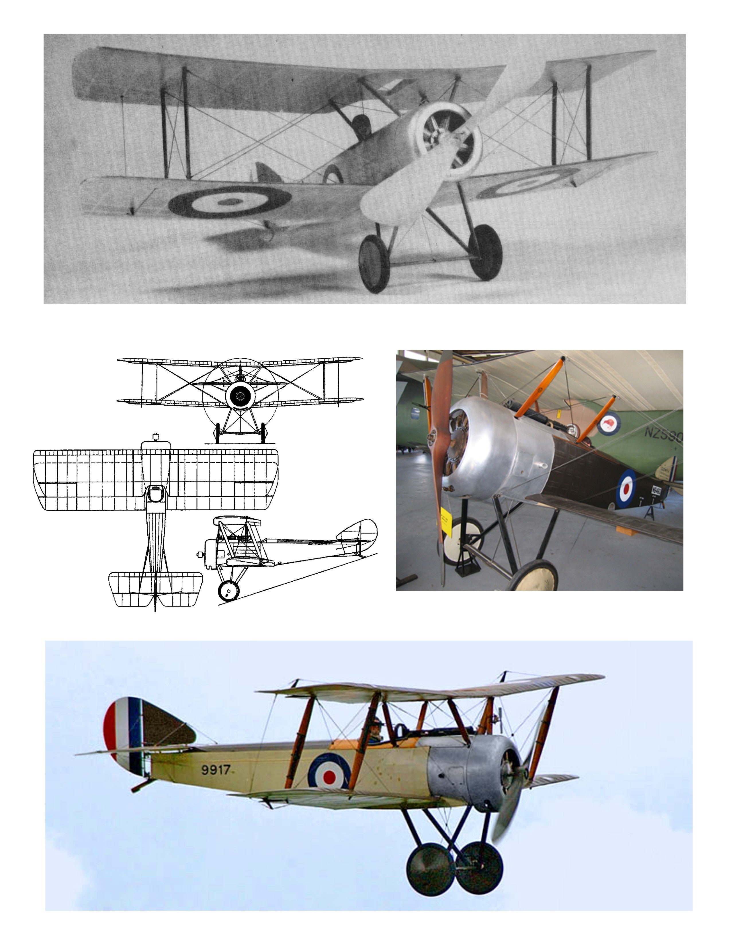 full size printed plans peanut scale "sopwith pup" show almost exact scale structure,