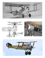 full size printed plans peanut scale "sopwith pup" show almost exact scale structure,